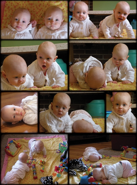 7 month twin compilation (474x640)