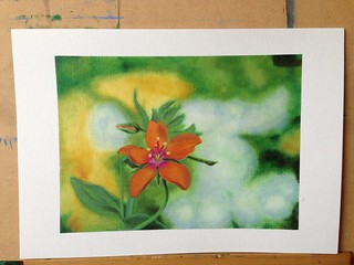 Orange flower painting