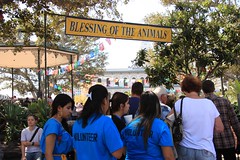 Blessing of the Animals 2013