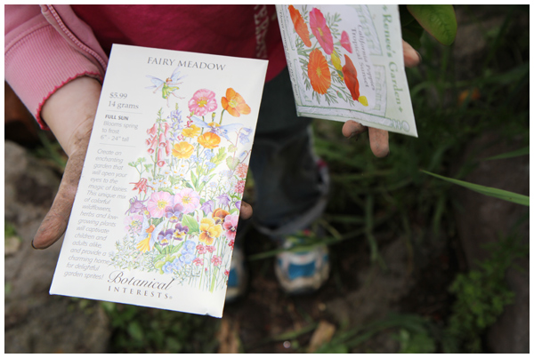 Fairy meadow seed packet