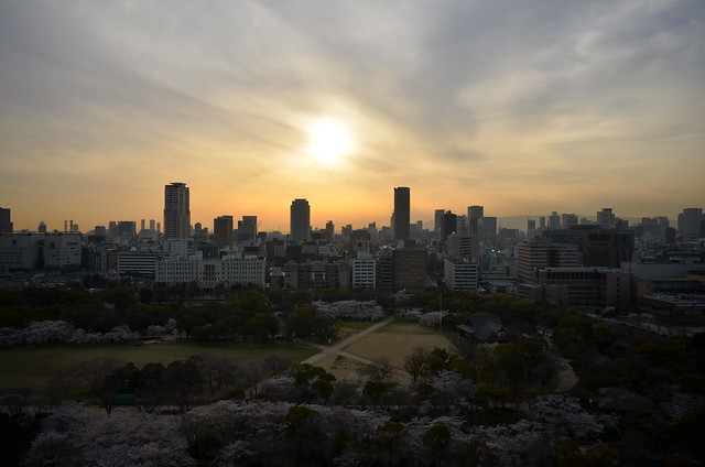 Nikon Coolpix A 日本關西櫻花之旅 實拍分享！