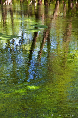 river green by Alida's Photos