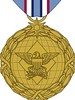 Drone Pilot medal