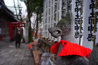 20130223 Ochobo Inari 3 - 無料写真検索fotoq