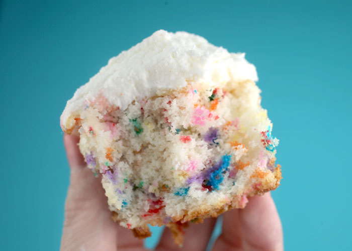 Rainbow Sprinkles Cupcake