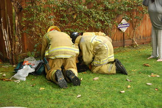 Cat Resuscitation Attempt by Los Angeles Firefighters. © Photo by Austin Gebhardt. Click to view more...