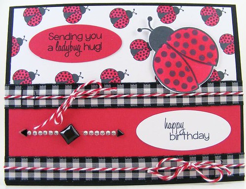 SOL April Ladybug Hug Card