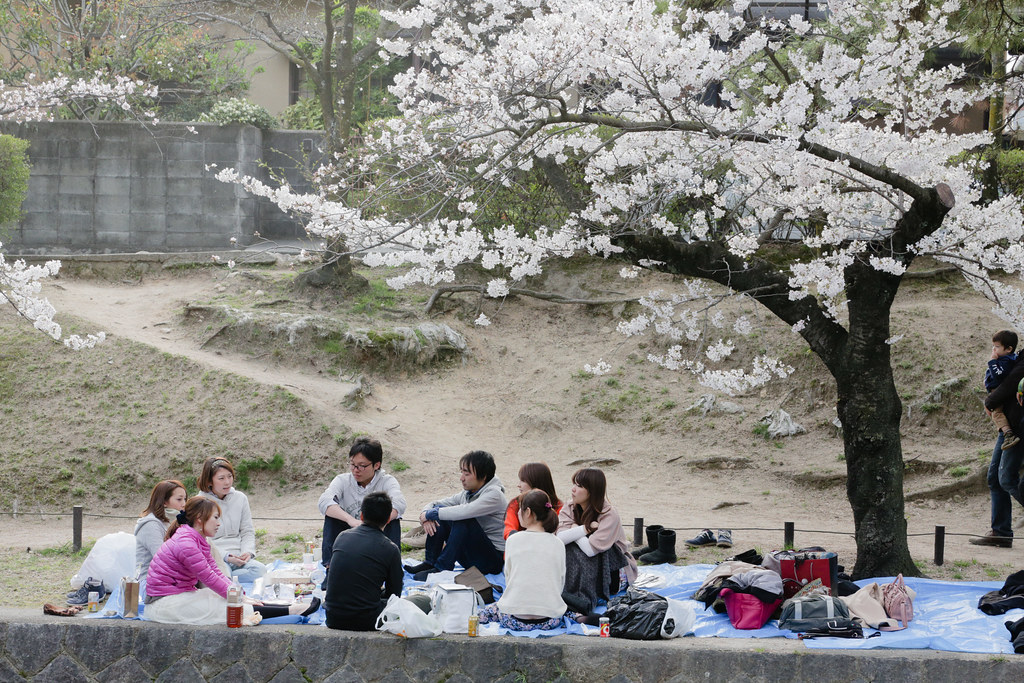 Стильные японцы под цветущей сакурой и сакура над рекой Nishinomiya-shi, Hyogo Prefecture, Japan, 0.003 sec (1/400), f/9.0, 95 mm, EF70-300mm f/4-5.6L IS USM