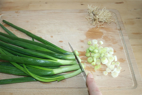 15 - Frühlingszwiebeln in Ringe schneiden / Cut spring onions in rings