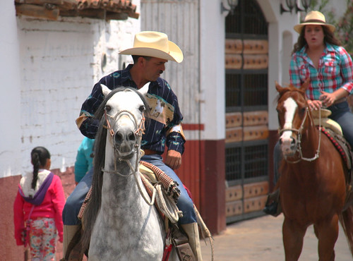Horses in Mexican town.
