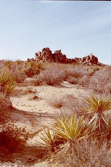 2002-desert