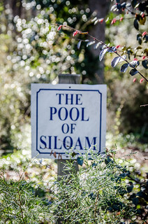 The Pool of Siloam