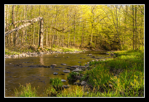 Spring Comes to Charlton by UpstateNYPhototaker