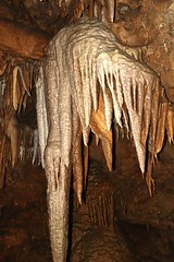 Shasta Caverns 08-25-16