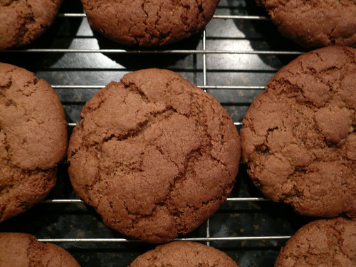 Ginger biscuits, close