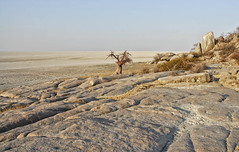 Botswana 2012