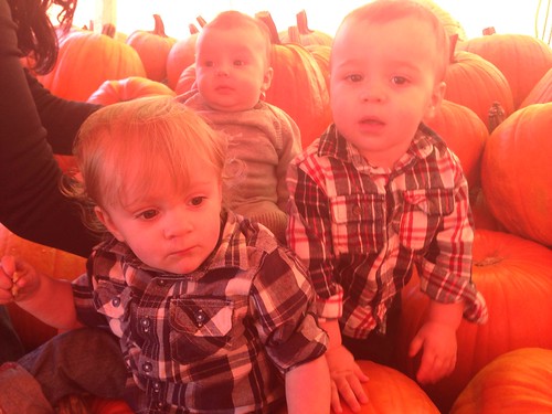 Cousins and Pumpkins