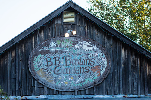 BB Brown's Gardens, headquarters of the Florida Scrub-Jay Trail