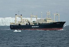 日本捕鯨船日新丸號在南極海域（照片由日本鯨類研究所提供）。
