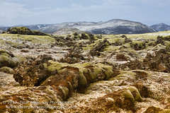 Hellishidi, Iceland - Frozen Lava Fields Landscape