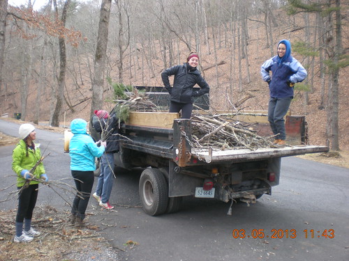 Alternative Spring Break Group clean up campground at Douthat State Park.