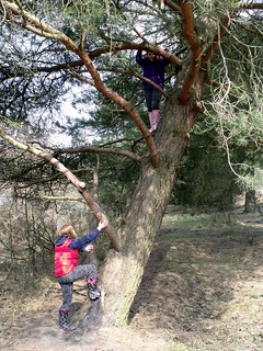 Emily up a tree
