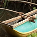 Paruwa (Traditional Fishing Boat ) - Bolgoda Lake - Sri Lanka