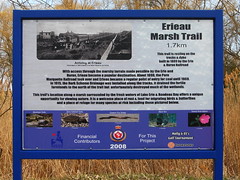 Erieau Marsh Trail