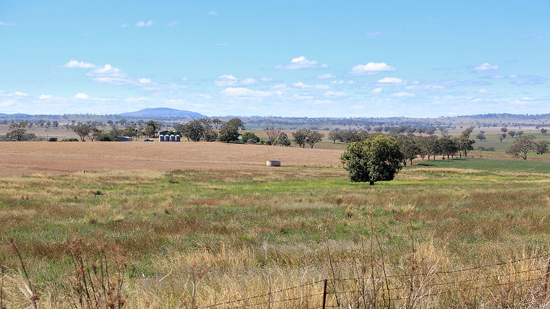 Farm country between Wellington and Mudgee