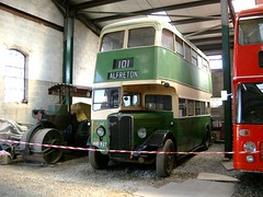 British buses