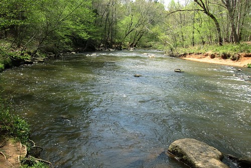 Spring on the Eno River