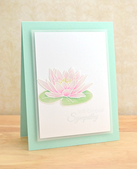 Water Lily Sympathy