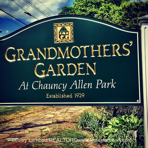 Grandmothers' Garden my fave park in #westfield #westernma http://bit.ly/1093MZj