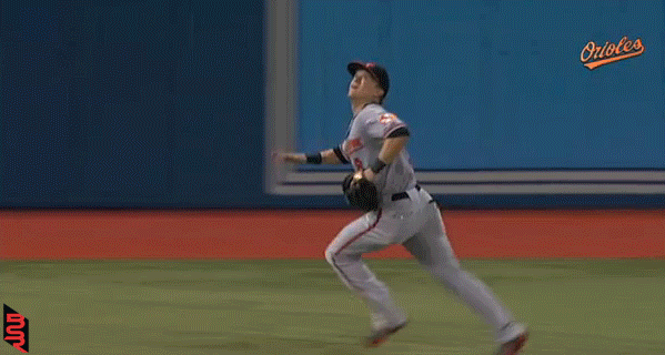 Nate  McLouth nasty catch