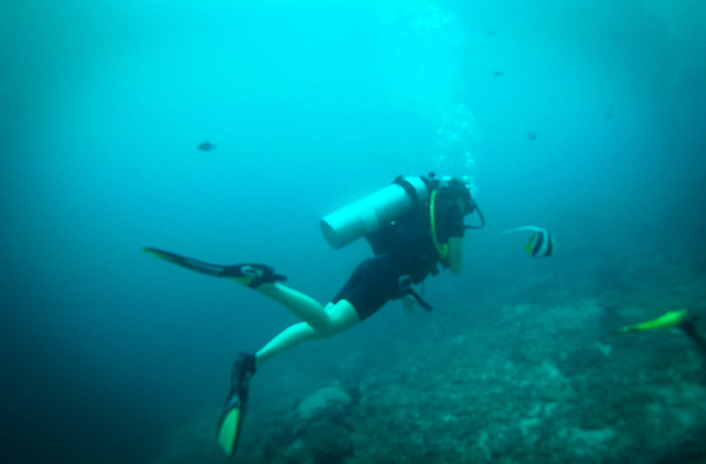 diving thailand