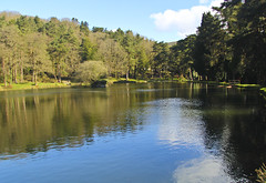 Glyncornel Lake 