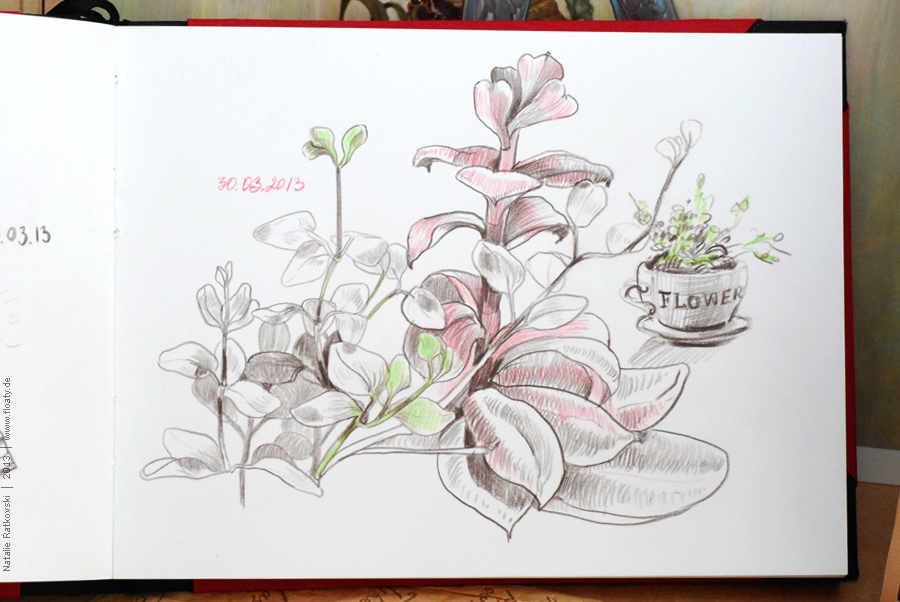 Рисовальный флешмоб: результаты зарисовок комнатных растений My sketch flash mob