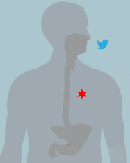 Stomach Issues? Take to Twitter & Let the City of Chicago know