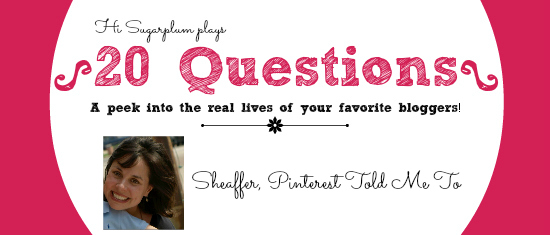 20 questions - Sheaffer