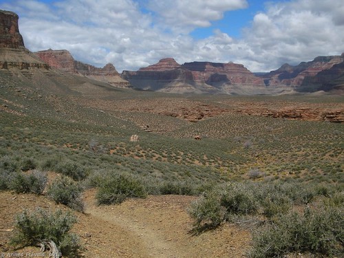 The Tonto Trail on the 