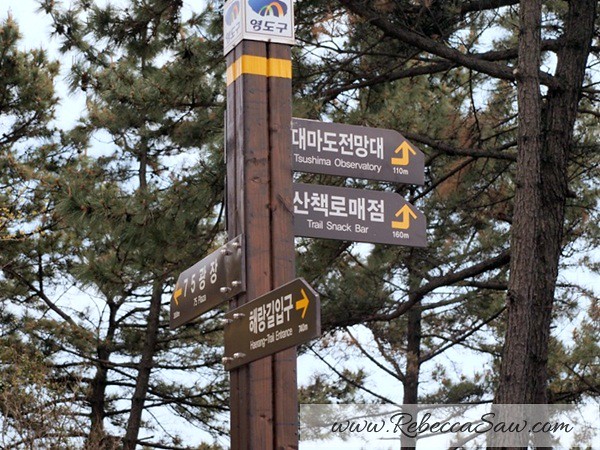 Busan Korea - Day 5 - rebeccasaw-072