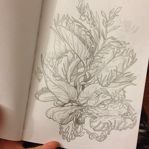 #Sketch of a Venus flytrap! #art #illustration