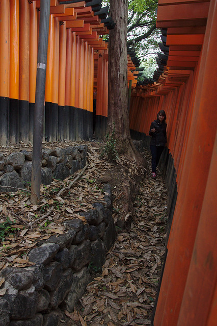 1011 - Fushimi Inari Taisha Shrine