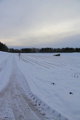 Inverno in Baviera