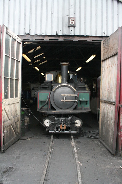 Earl of Merioneth on shed