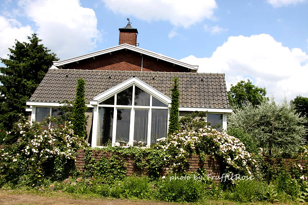 Landhuis de Maashof 玫瑰園-Lottum-20120614