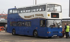 UK - Bus - Herberts Travel