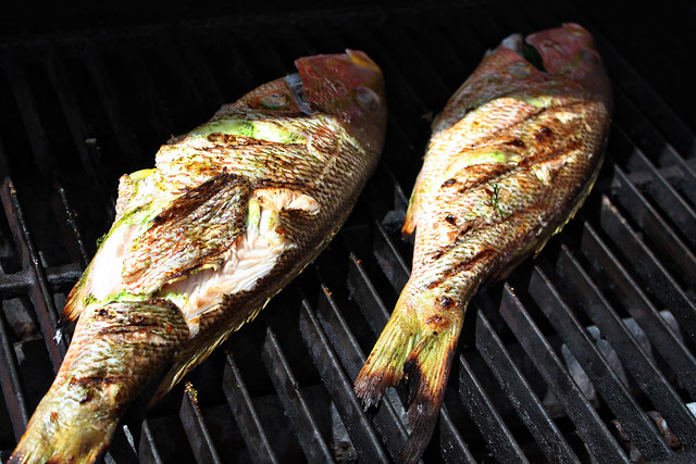 Grilled Red Snapper on grill whole
