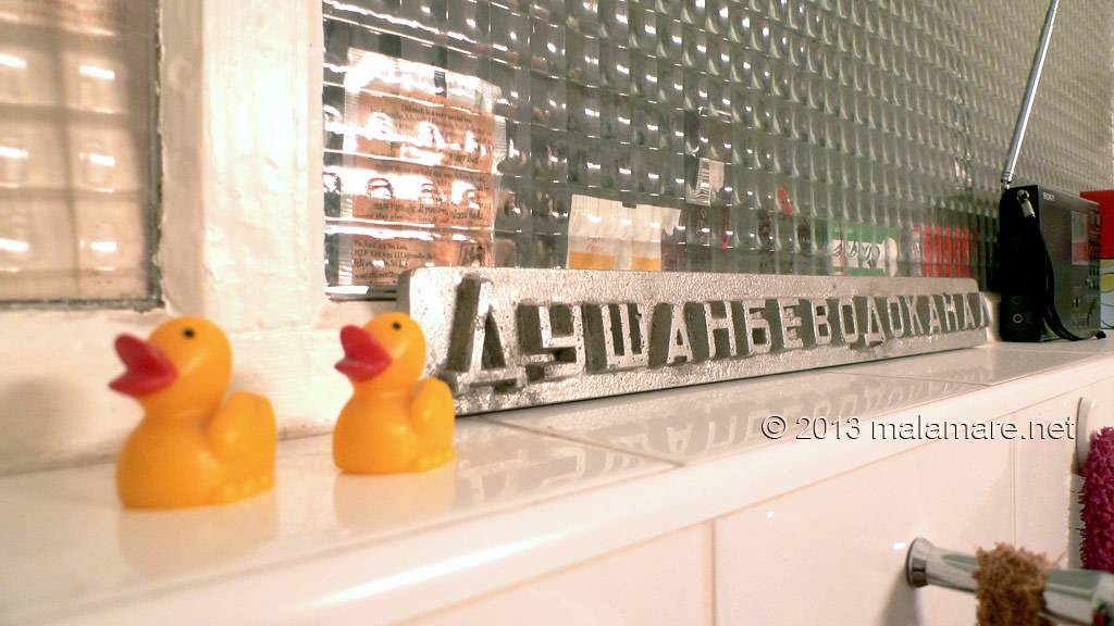 Vienna bathroom and ducks