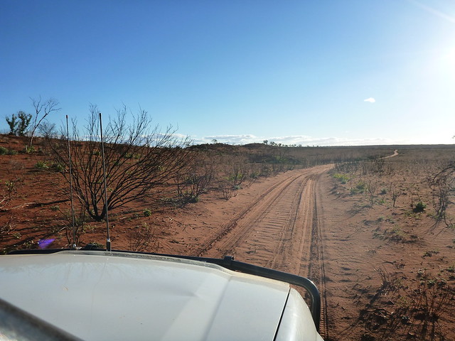 Desert road driving